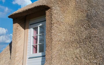 Trebudannon thatch roof disadvantages